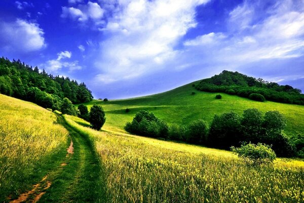 Sonnige Landschaft der ländlichen Felder