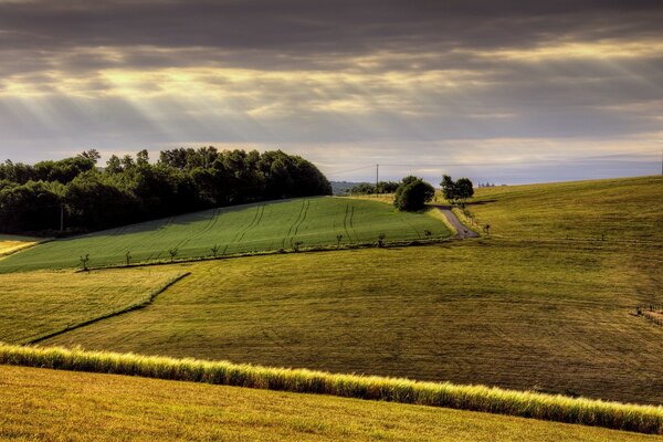 Campos agrícolas y tierras de cultivo