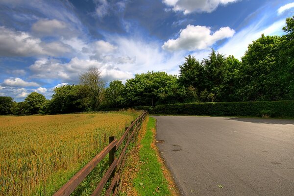 Route rurale dans les champs et les forêts