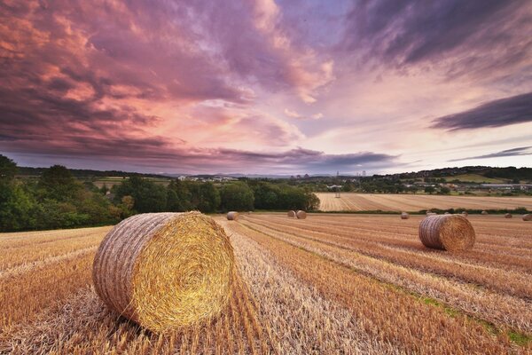 Rolls of salt in the meadow