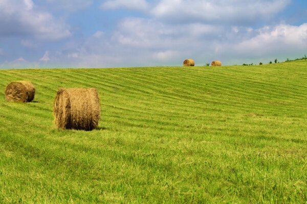 Landschaft von geerntetem Heu auf grünem Gras