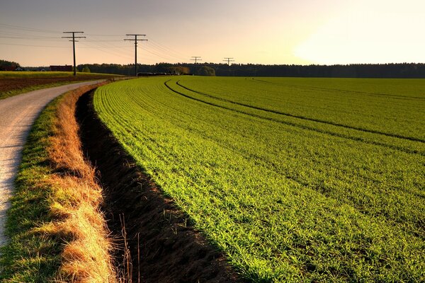 A green field on a farm by the road