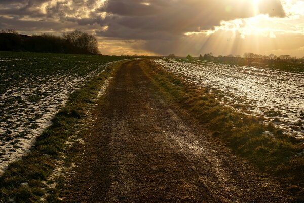 Ein Frühlingsuntergang im Feld