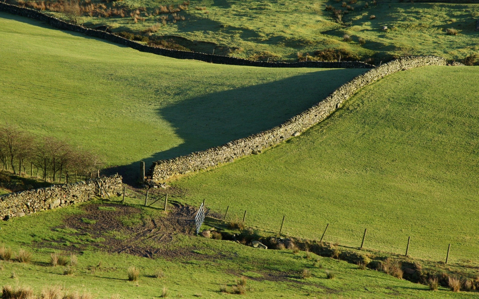 paysage herbe paysage agriculture en plein air campagne nature moutons colline terres cultivées pâturage ferme voyage rural été