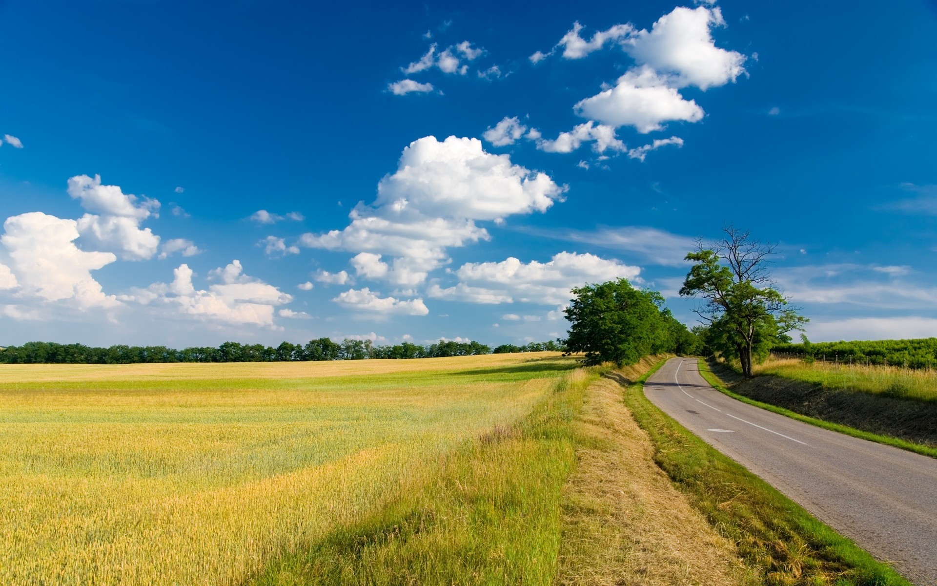 landscapes rural countryside landscape sky agriculture nature road field grass summer outdoors tree farm country farmland fair weather hayfield pasture cropland