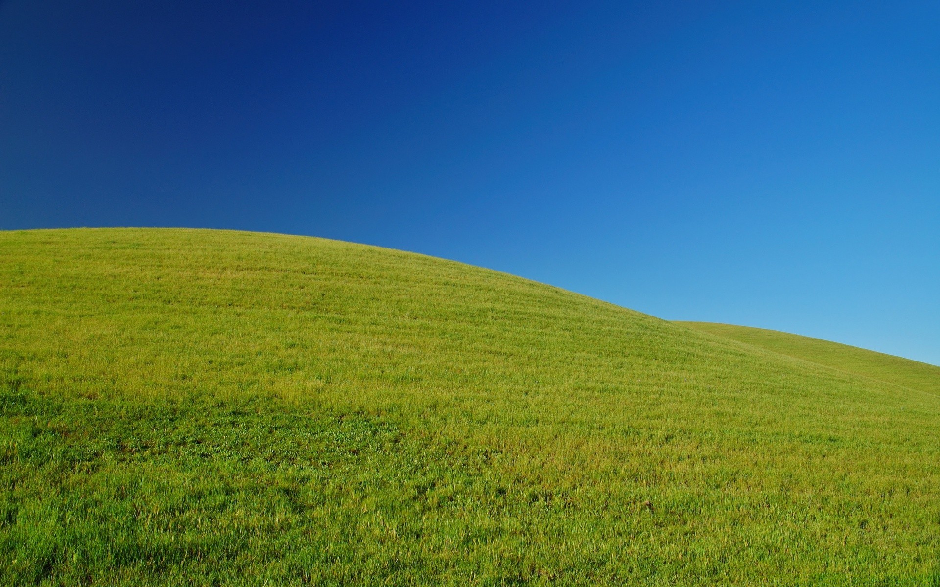 landscapes grass landscape countryside rural nature pasture field sky outdoors summer grassland hayfield fair weather sun agriculture