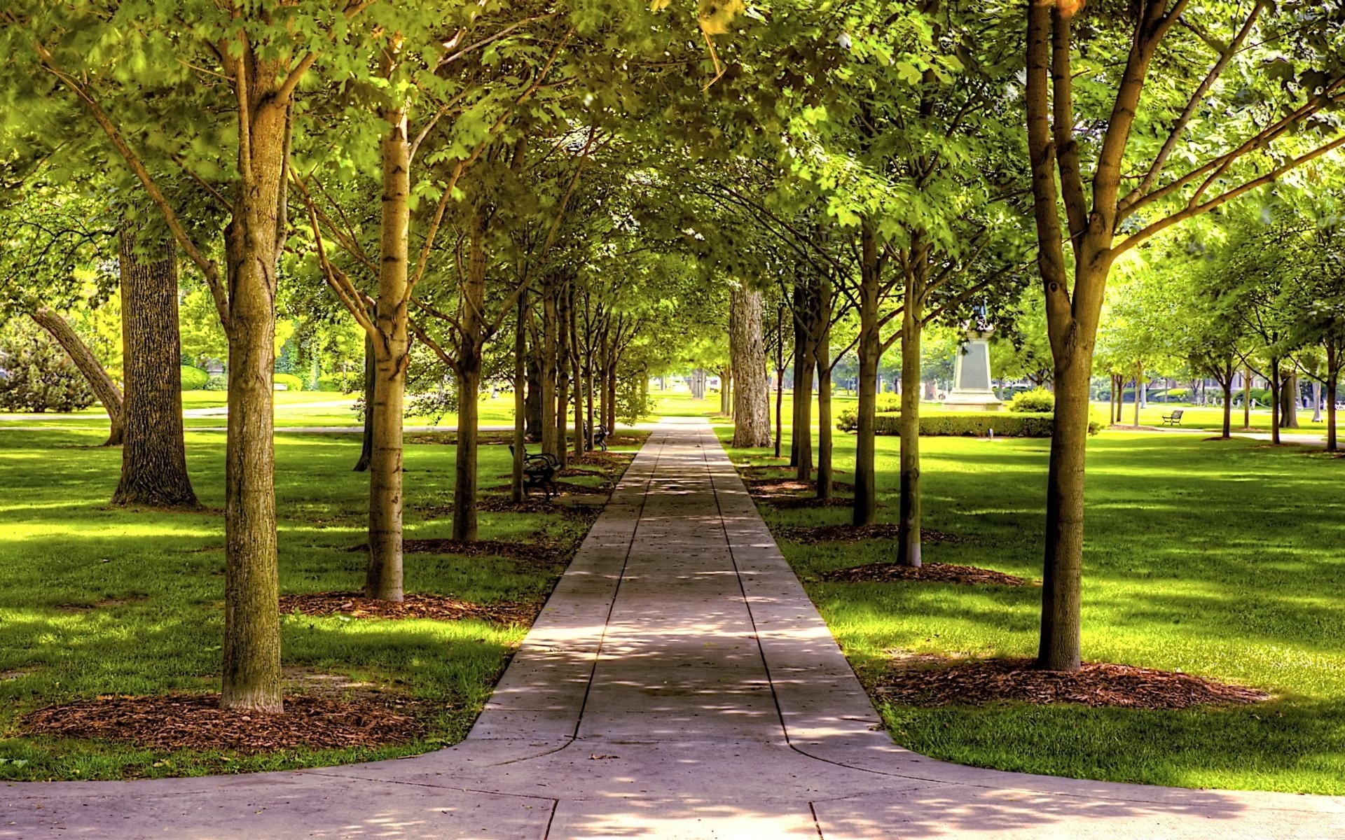 paysage arbre bois paysage guide parc feuille nature route herbe été environnement ruelle sentier jardin ombre beau temps à l extérieur flore soleil