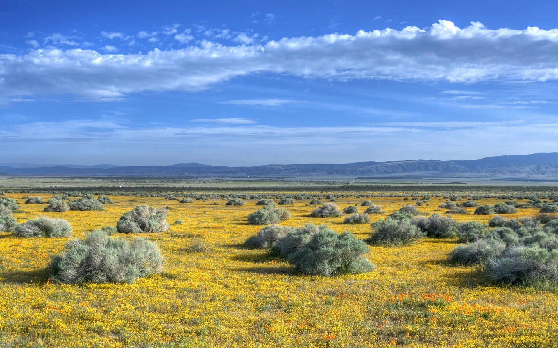 landscapes landscape nature sky scenic outdoors grassland field grass hayfield travel scene summer scenery