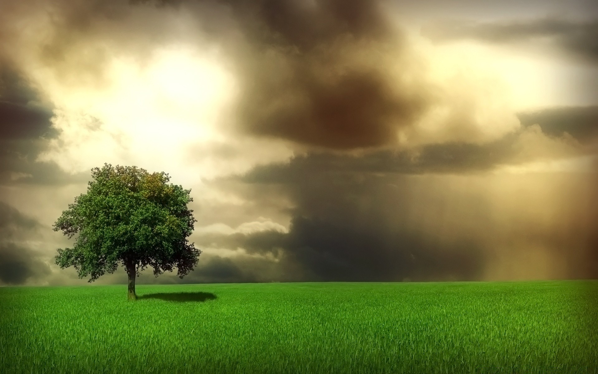 paysage paysage herbe soleil aube champ nature coucher de soleil pluie tempête à l extérieur rural ciel campagne météo beau temps été pâturages foin