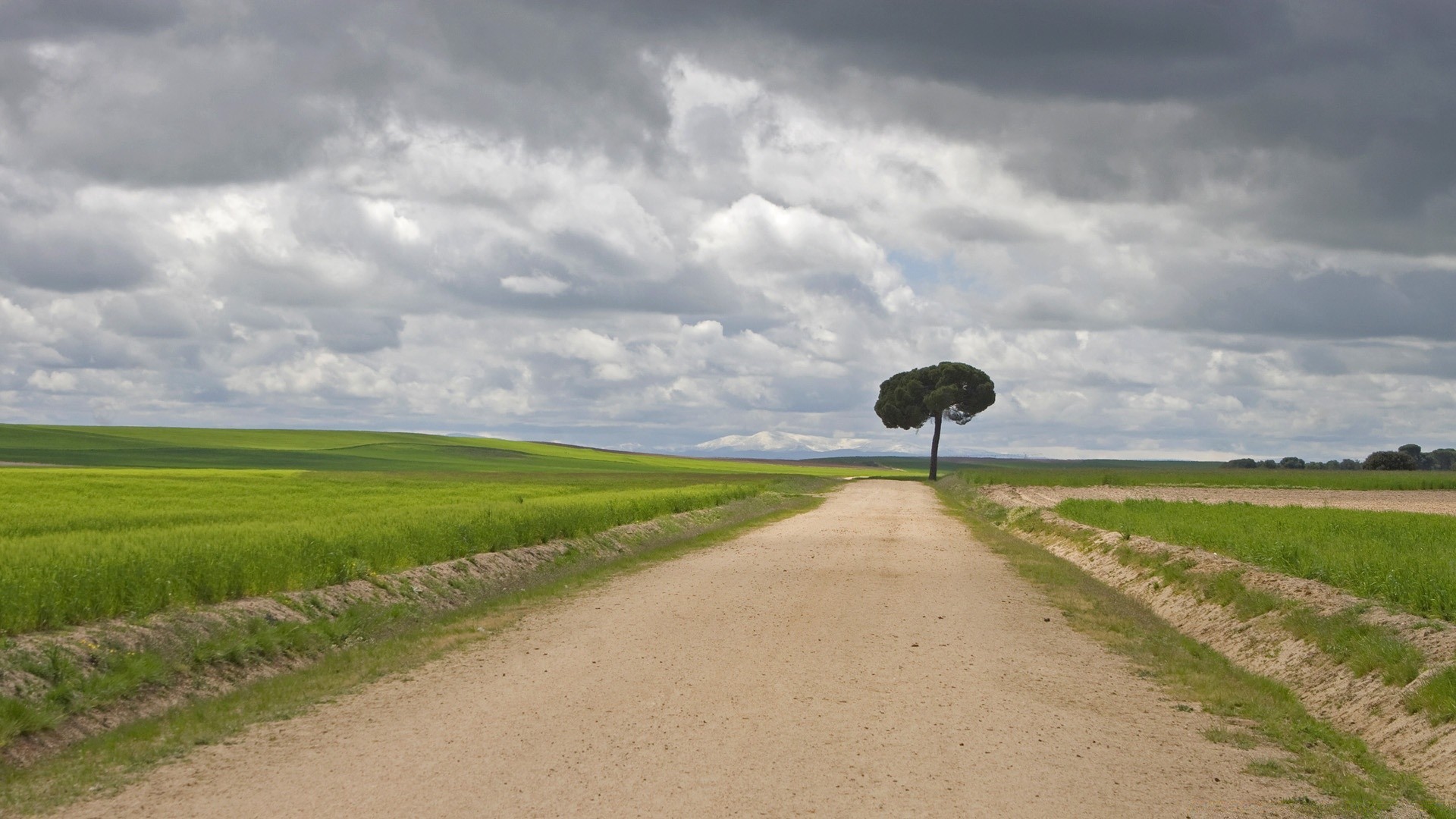 paisaje paisaje agricultura hierba cielo campo campo naturaleza rural al aire libre granja carretera árbol suelo nube verano pasto viajes tierras cultivadas