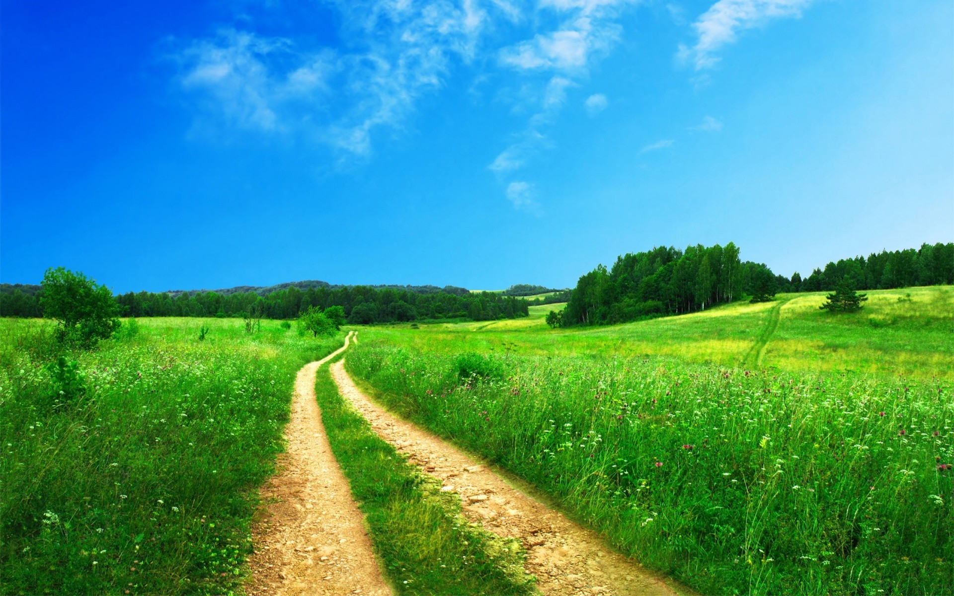 landscapes rural landscape field grass countryside agriculture nature hayfield summer sky outdoors country soil farm pasture road horizon tree growth