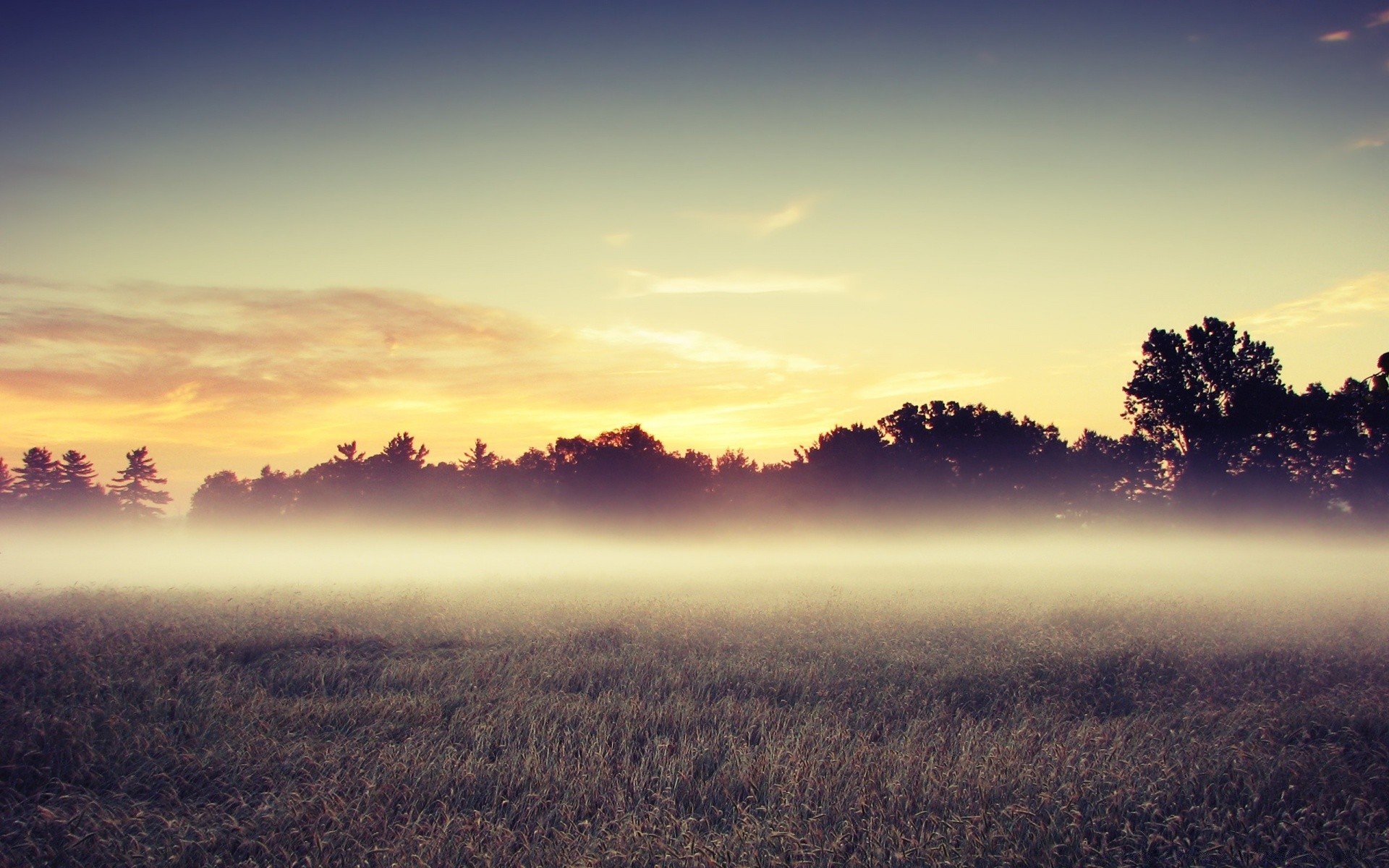 landscapes sunset landscape dawn sun sky nature evening tree light dusk field fair weather silhouette fog backlit