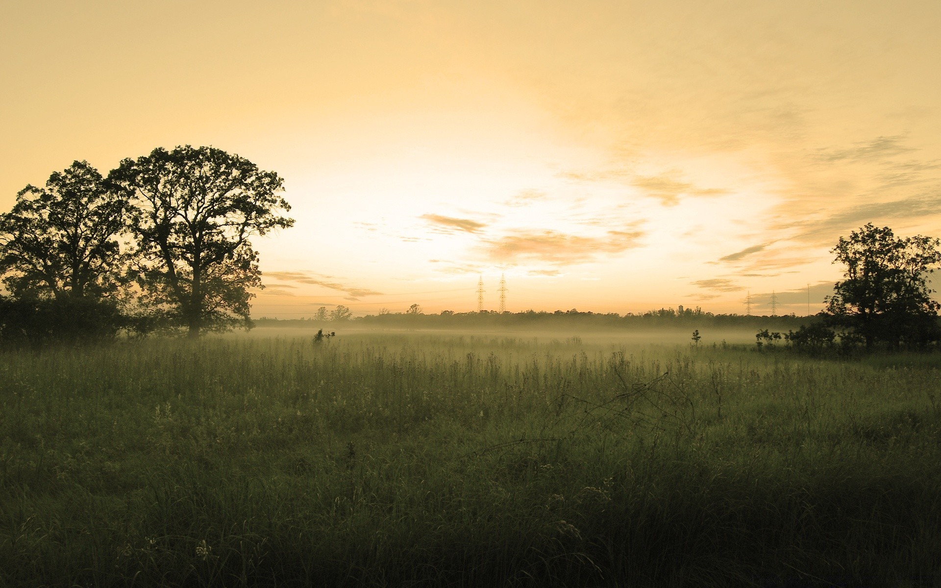 paysage paysage arbre coucher de soleil aube champ nature ciel soleil brouillard herbe soir lumière ferme à l extérieur météo brouillard crépuscule agriculture horizon