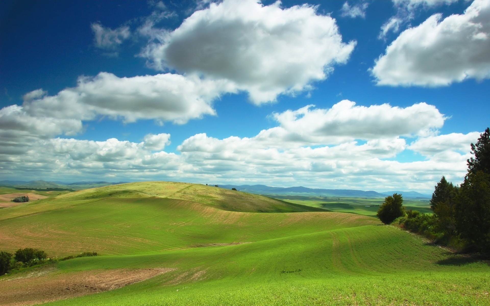 paesaggio paesaggio erba natura campagna cielo all aperto rurale estate agricoltura collina albero pascolo fieno pascolo golf campo nuvola bel tempo terreno coltivato