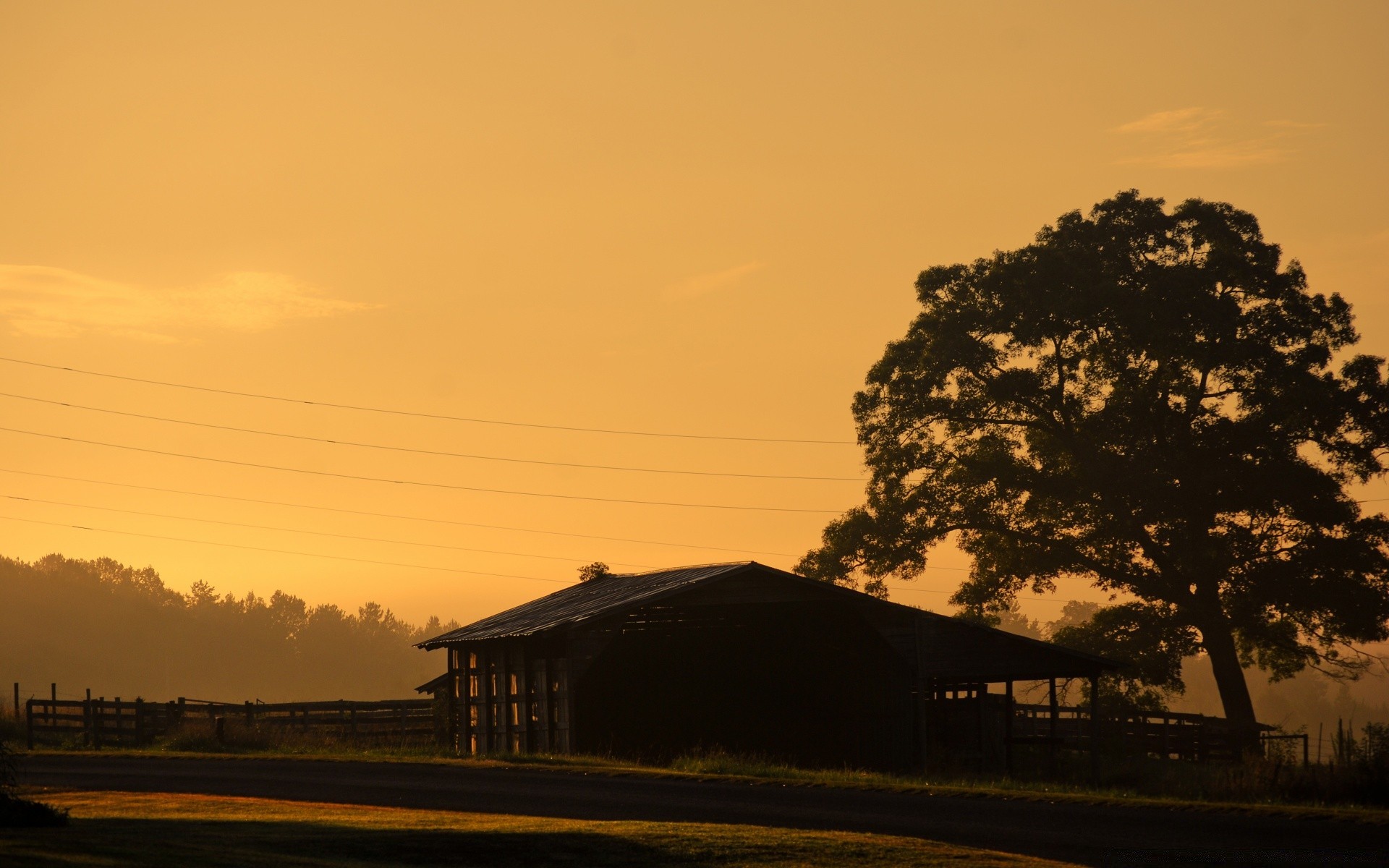 landscapes landscape tree sunset dawn light silhouette backlit evening water travel sky vehicle dusk sun farm lake