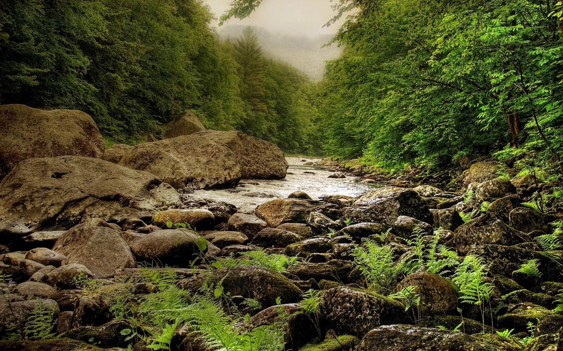 paesaggio acqua natura paesaggio viaggi roccia legno flusso all aperto fiume montagna albero foglia pietra scenic