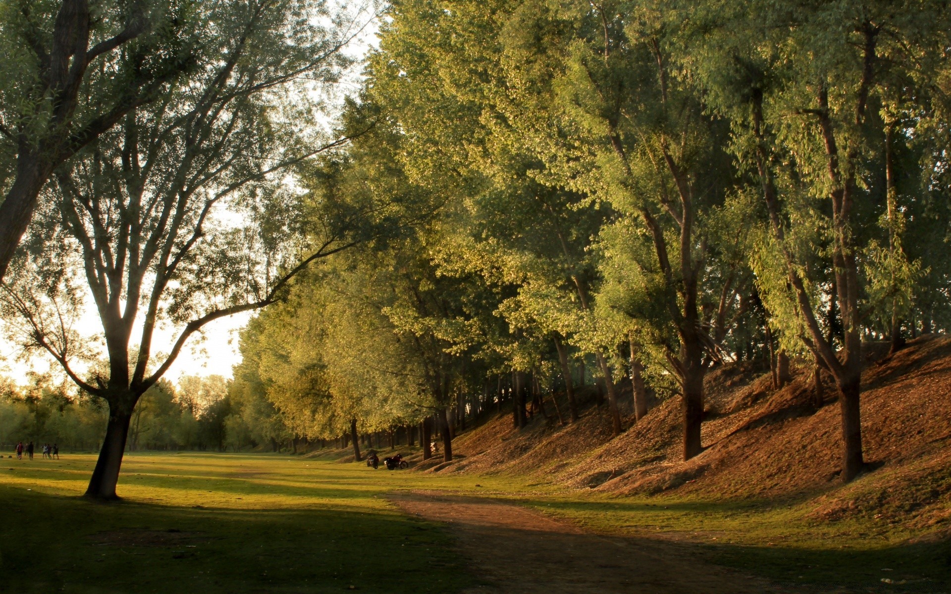 paisaje árbol paisaje madera naturaleza hierba amanecer al aire libre campo hoja otoño parque carretera rural escénico medio ambiente buen tiempo cielo sombra sol