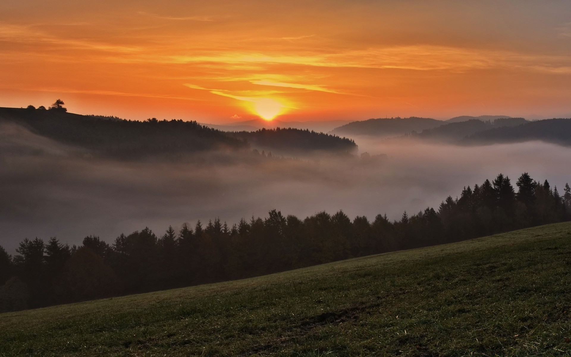 landscapes sunset dawn landscape evening tree sun sky outdoors nature fall dusk fog fair weather travel light