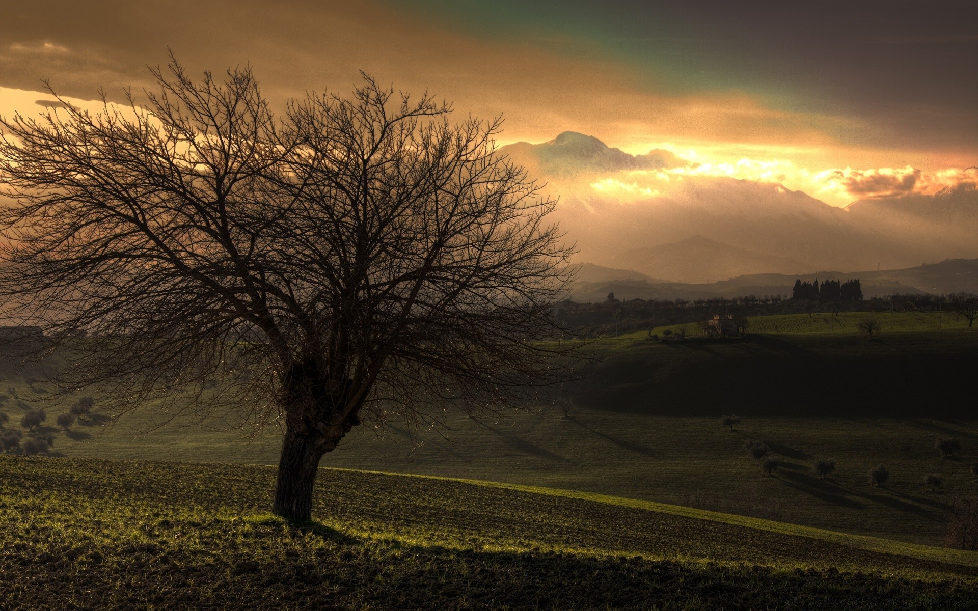 landschaft sonnenuntergang dämmerung landschaft baum abend natur nebel sonne himmel herbst licht dämmerung silhouette nebel feld im freien gutes wetter