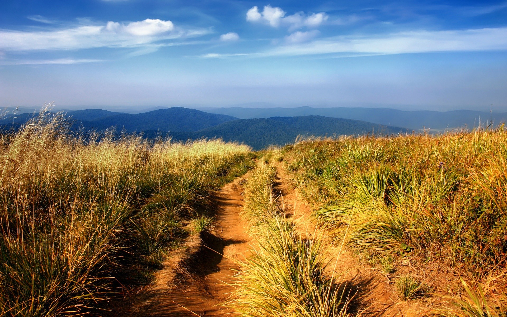 landscapes nature landscape outdoors sky travel grass fair weather