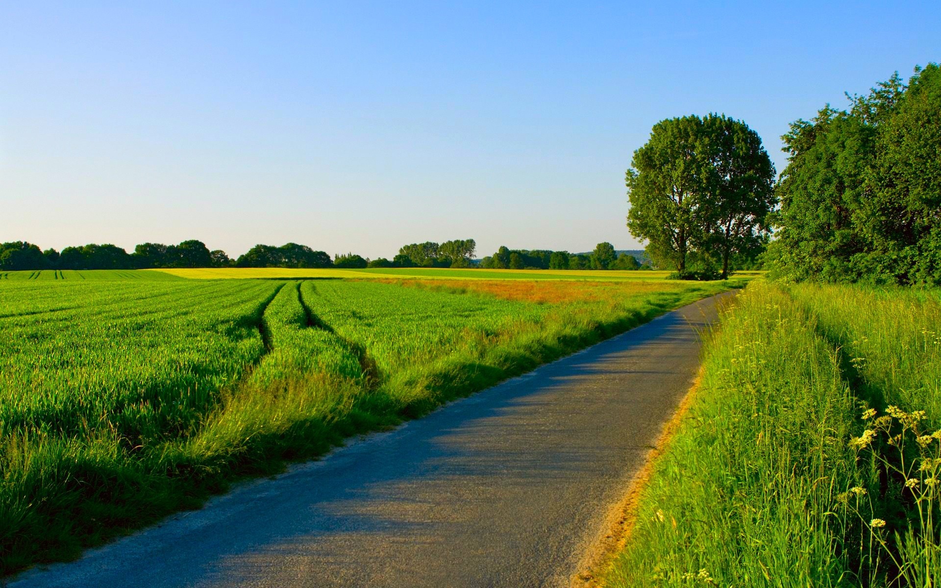 landschaft landschaft natur des ländlichen landwirtschaft landschaft im freien gras himmel sommer feld baum bauernhof wachstum