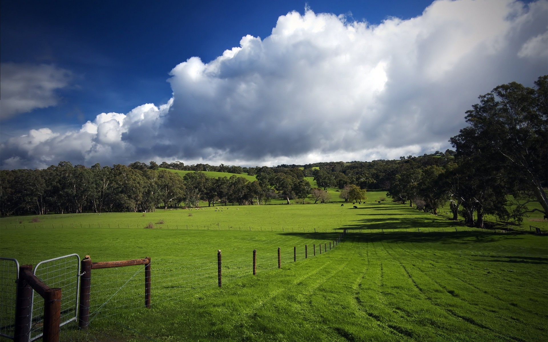 paisaje paisaje hierba árbol naturaleza cielo agricultura rural campo al aire libre campo verano madera tierra cultivada granja