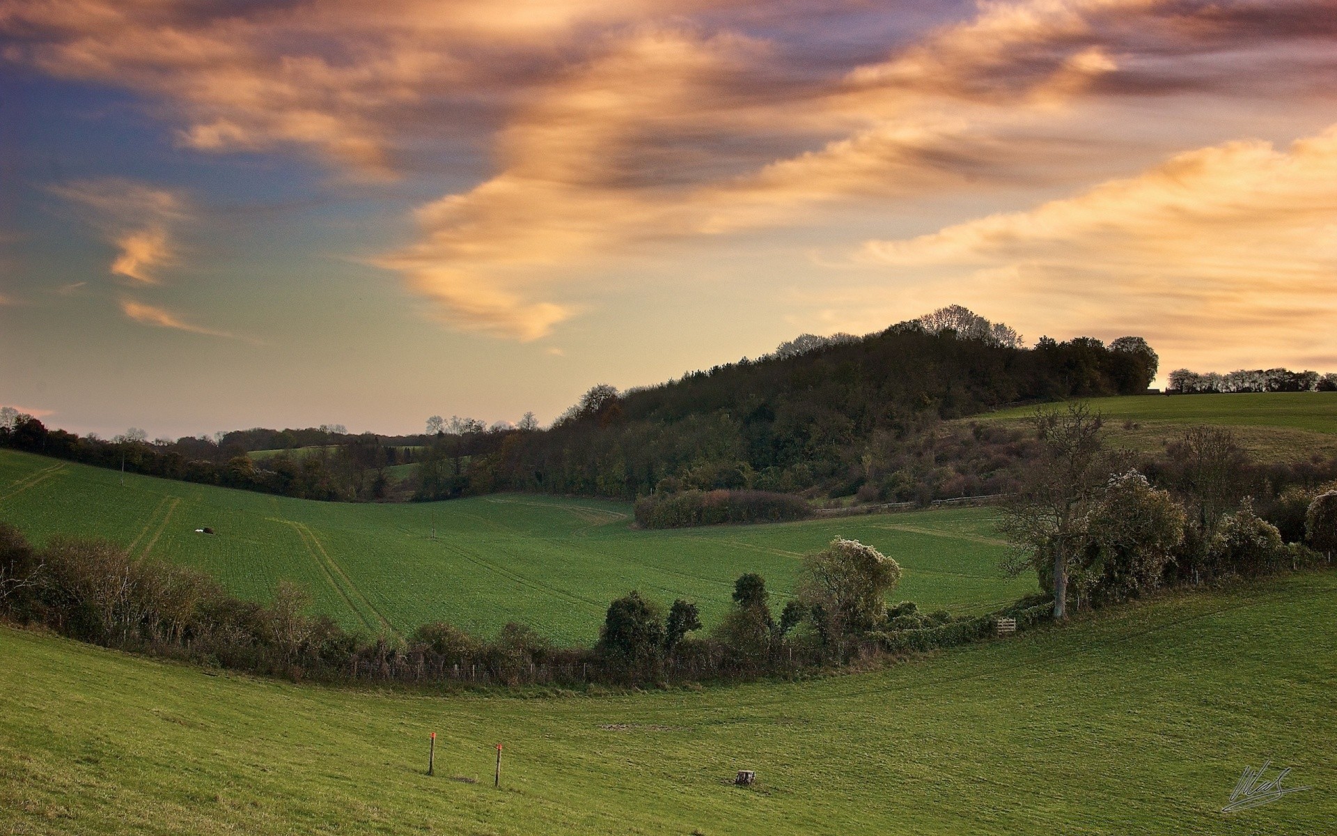 landschaft landschaft landwirtschaft gras landschaft im freien pastorale natur baum himmel bebautes land des ländlichen schafe weide bauernhof hügel sonnenuntergang weide reisen heuhaufen