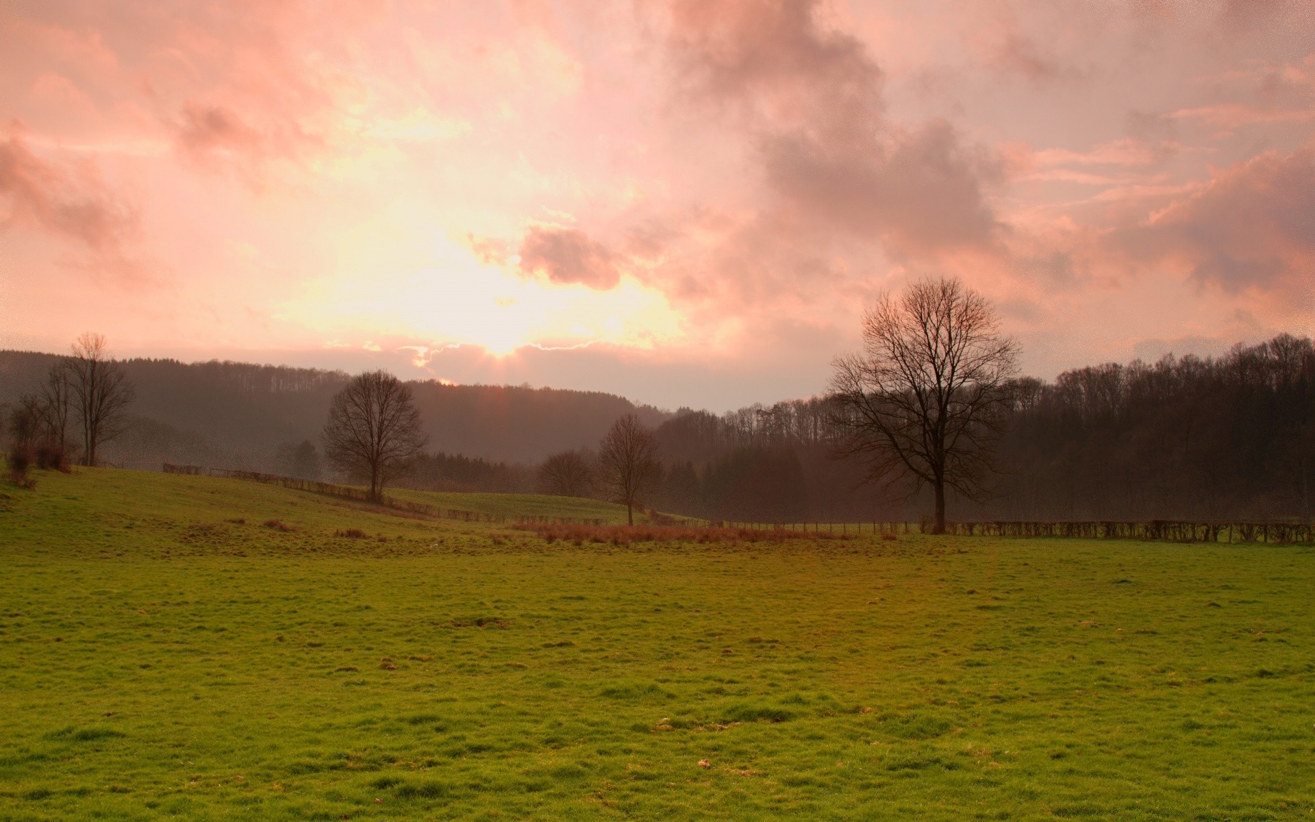 landschaft landschaft dämmerung nebel baum herbst natur im freien gras nebel sonnenuntergang sonne feld landschaft gutes wetter des ländlichen licht himmel