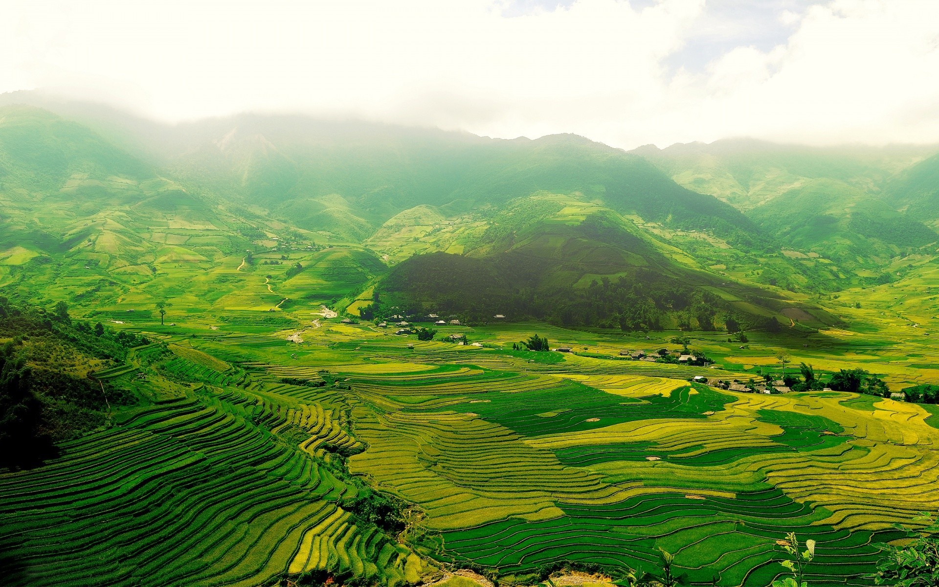 landschaft bebautes land natur reisen im freien landwirtschaft ländlichen landschaft aufstieg hügel landschaft sommer berge plantage tal tropisch blatt üppig holz holz