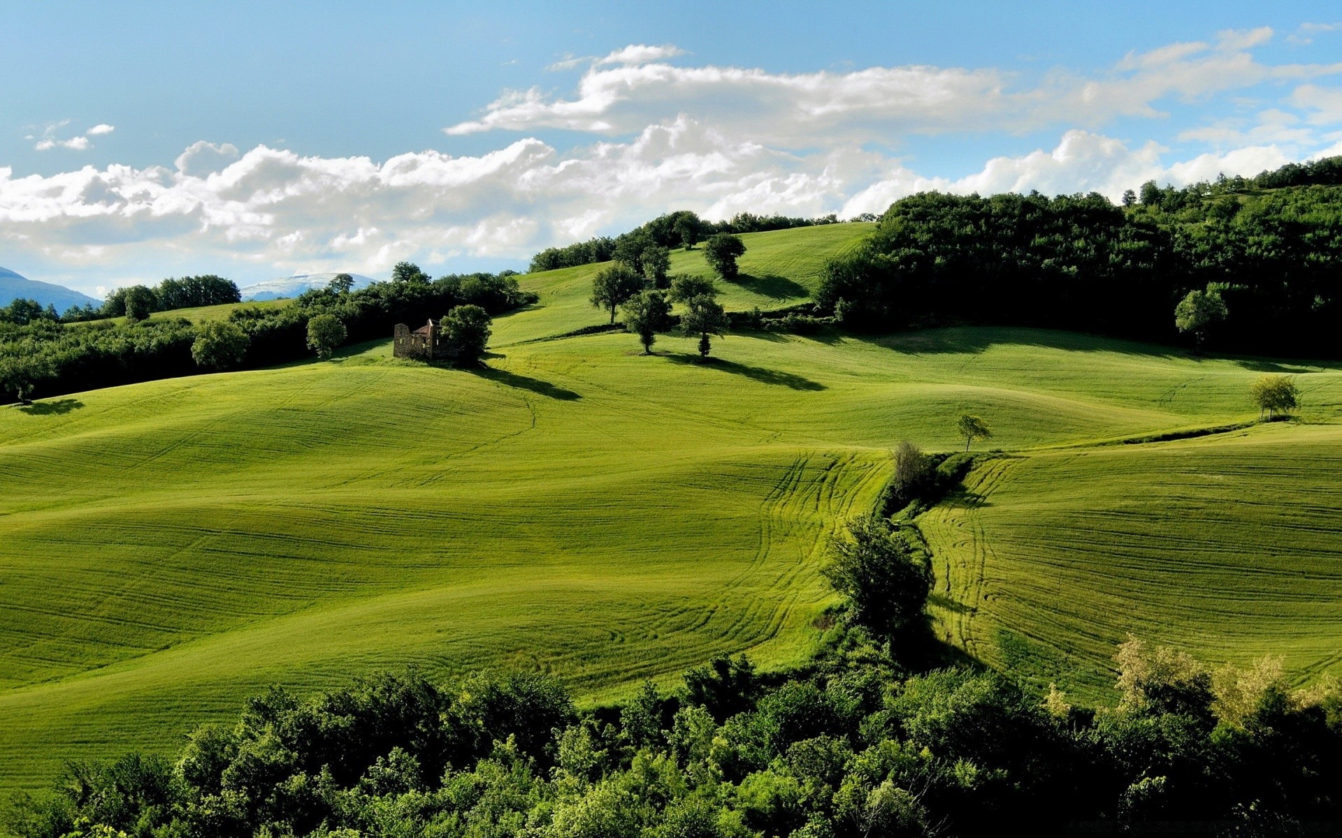 paisagens golfe paisagem bip grama natureza árvore golfista ao ar livre colina fairway campo agricultura cênica feno pastoral céu cipreste verão pasto