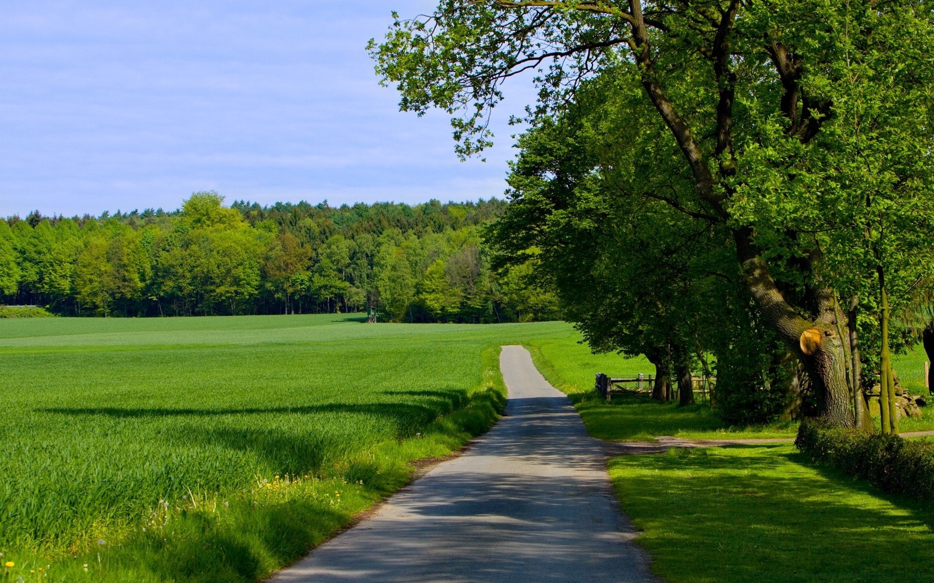 Дорога вдоль зеленых полей бесплатно