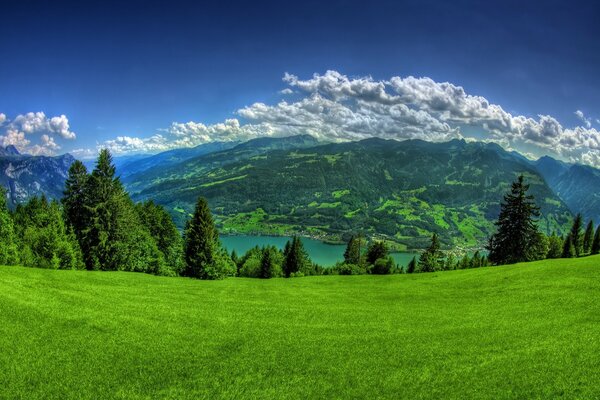 Alpine meadows, mountain lake