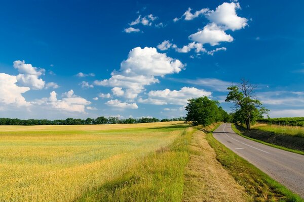 Mit Klebeband in die Ferne laufende Straße zwischen Landfeldern