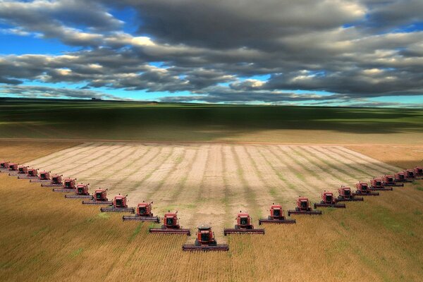 Autumn strada. Agricultural industry