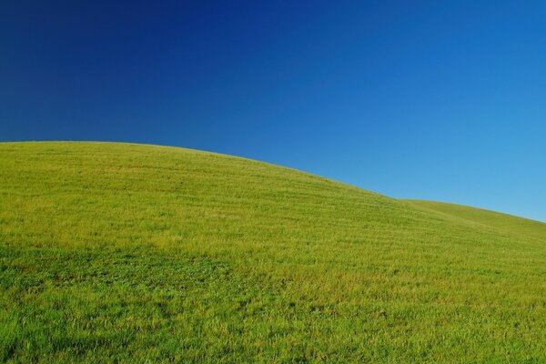 Paesaggi di campagna verde