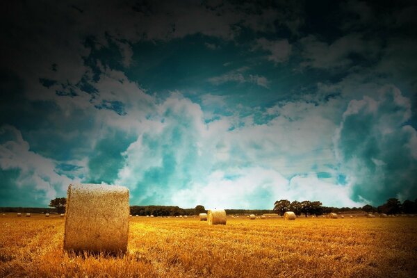 Balles de paille sur les terres agricoles avec ciel bleu nuageux