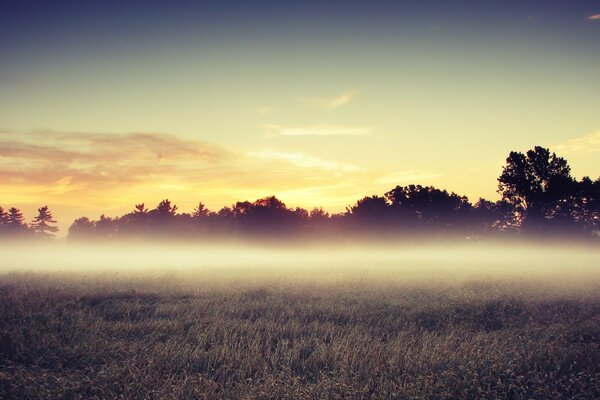 Reflexion der aufgehenden Sonne im Morgennebel