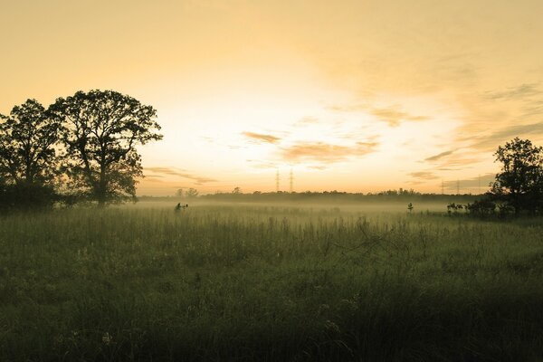 Landschaft der Morgendämmerung auf einem Hintergrund von Bäumen