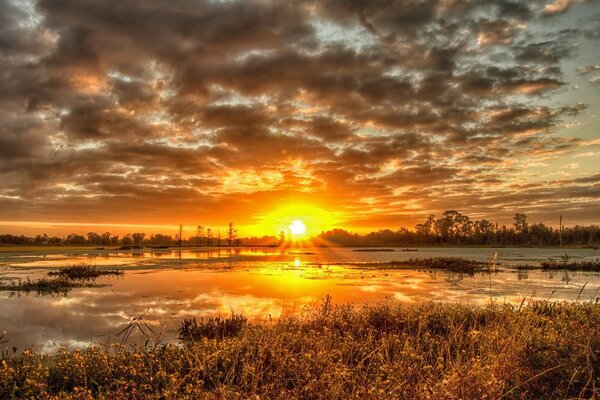 Sunset is reflected in a swampy lake