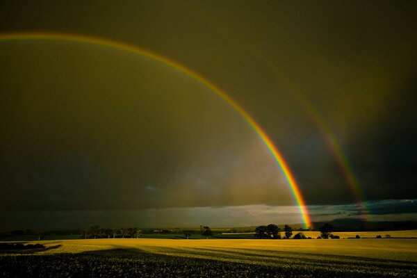 A rainbow in half the sky over a yellow field