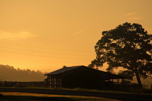 Maison solitaire sous un arbre au coucher du soleil