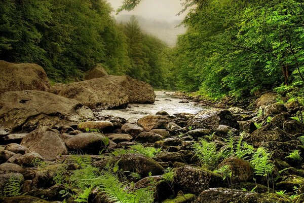 Paisagens da Natureza Viagem Da água