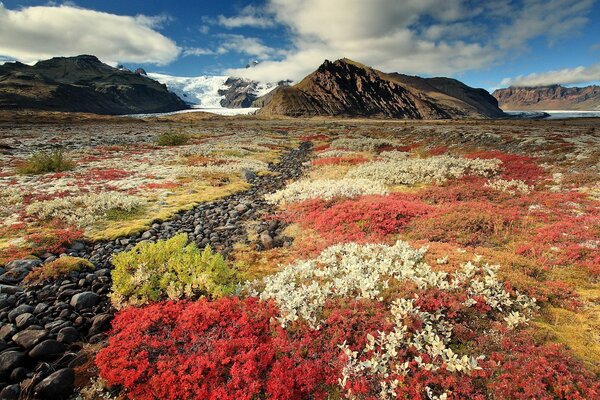 Mountain landscapes with colorful fields