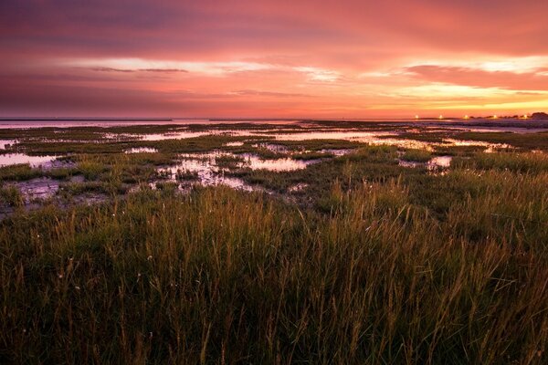 Bogrovy zavarazhivayushchy sunset