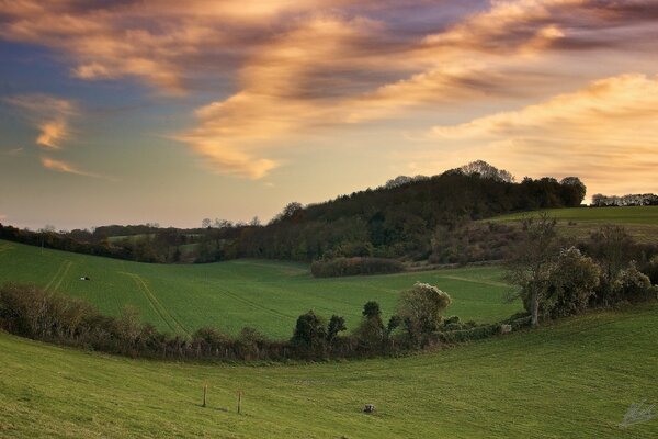 Gelbe Wolken über dem grünen Feld