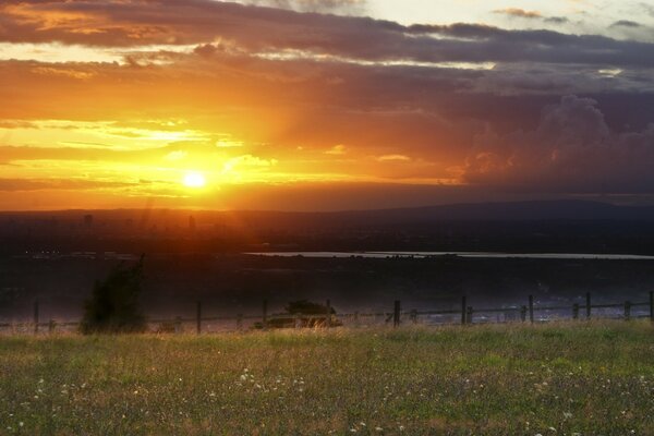 Bright Sunset over the field