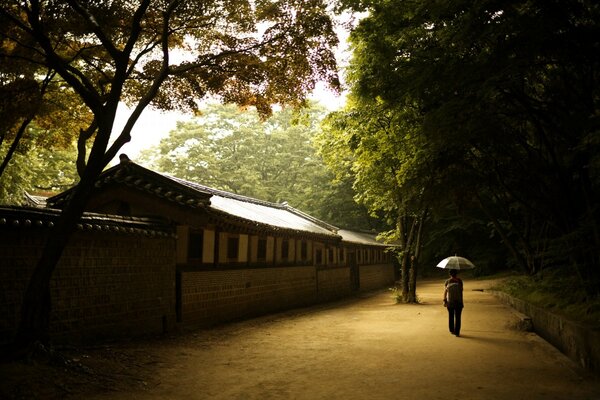 Quiet autumn alley in the park