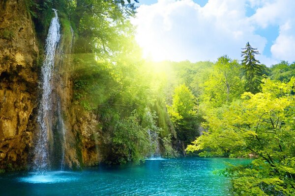 Summer landscape of a forest lake and waterfall