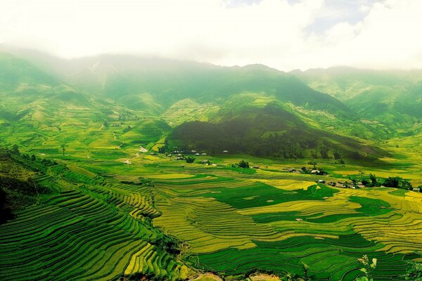 Green mountains with stripes