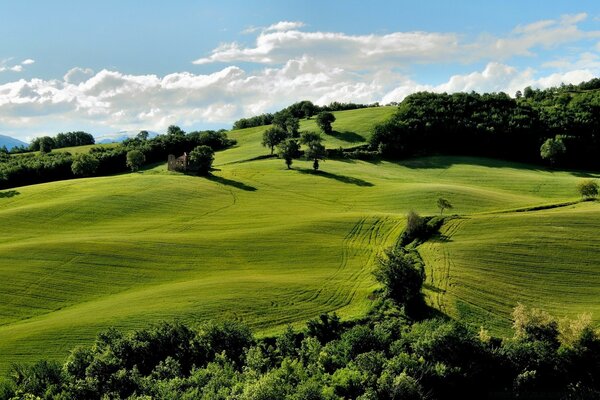 Paesaggi di golf sull erba BIP